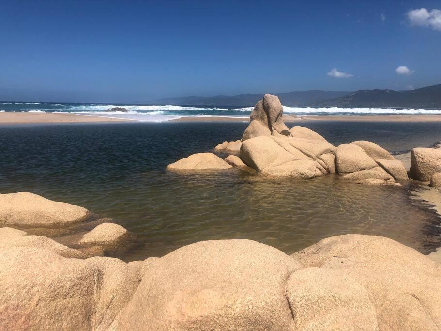 Appartement T2 Avec Piscine Aux Portes De La Plage De Cupabia Serra-di-Ferro  Ngoại thất bức ảnh